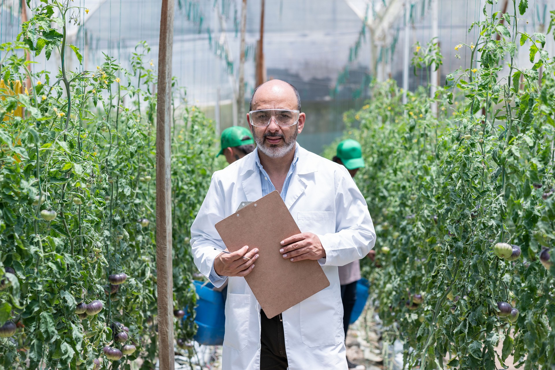 el hombre ingeniero de alimentos está dentro de un cultivo mirando hacia la cámara
