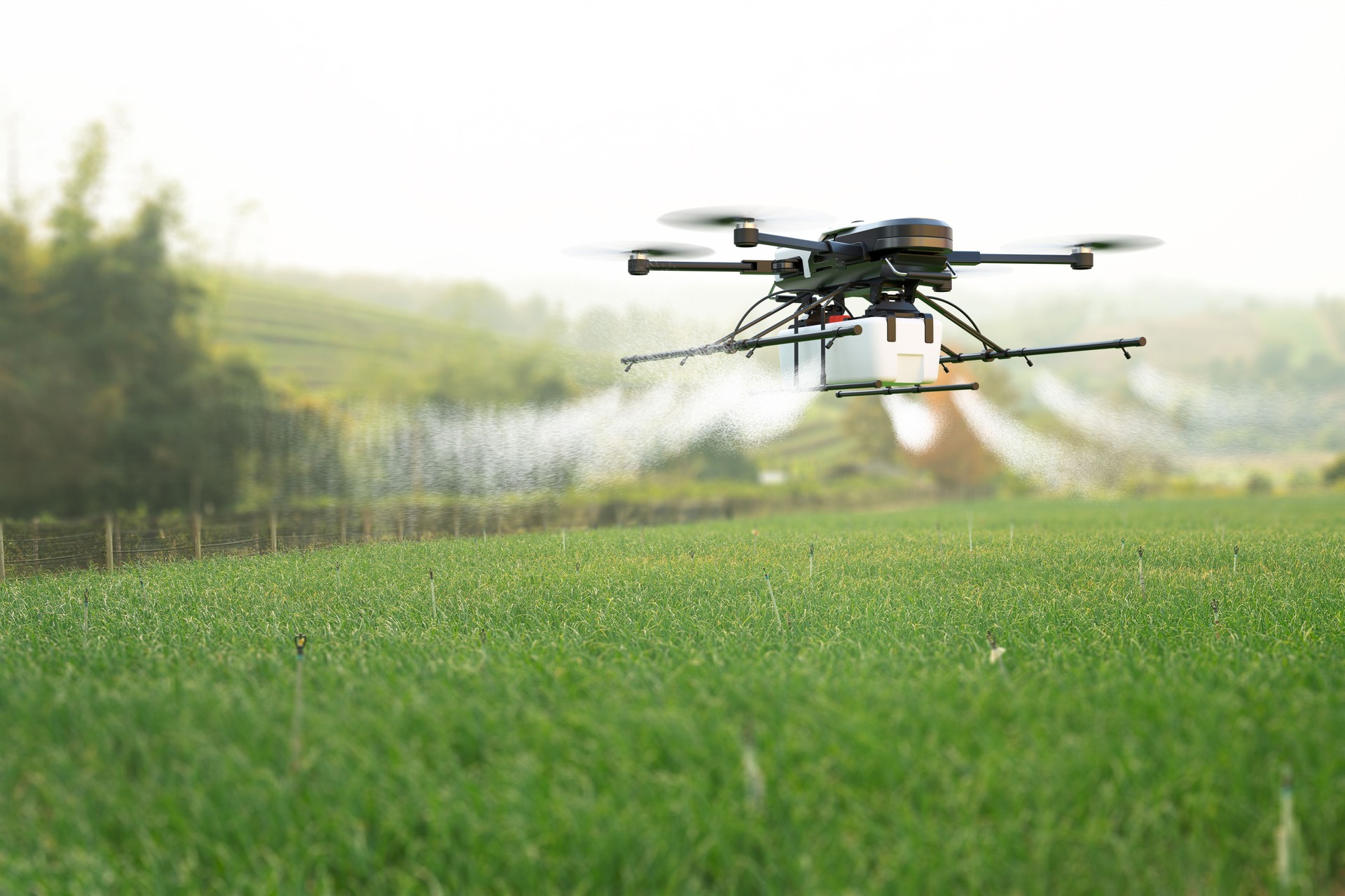 Pesticida de fumigación con drones en el campo de trigo.